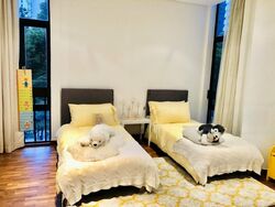 The Colonnade (D10), Condominium #496348001